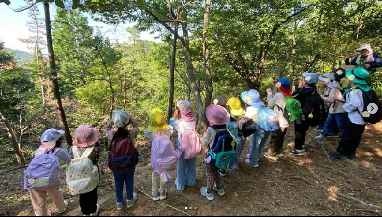 るり渓で山登りをする子どもたち